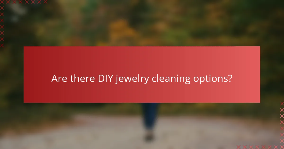 Are there DIY jewelry cleaning options?