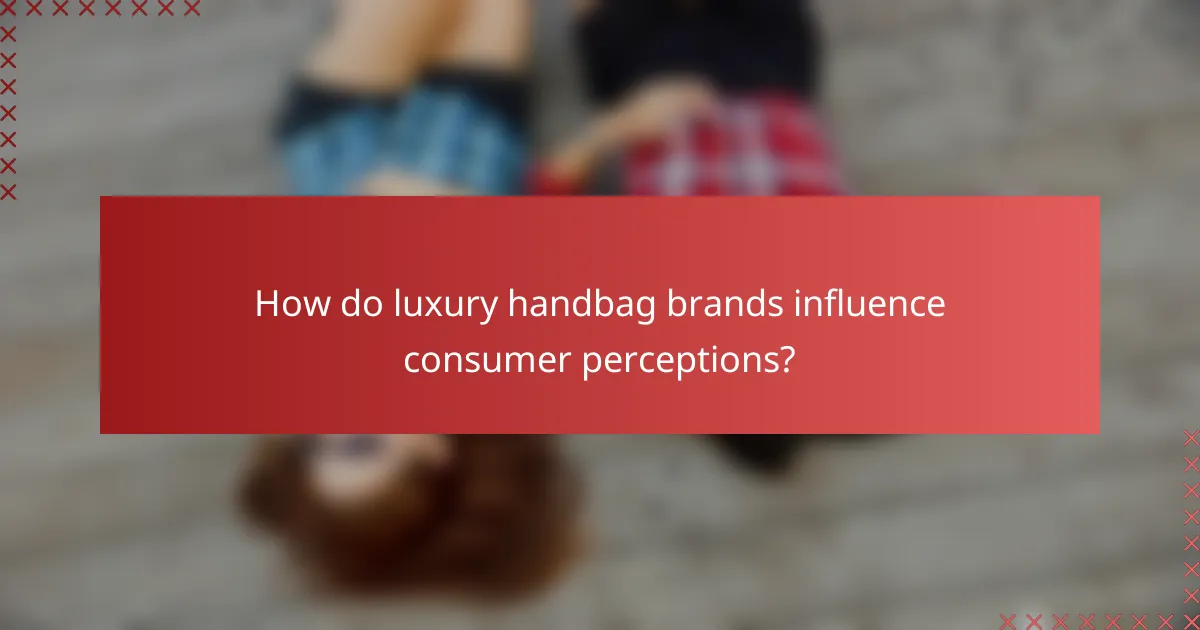 How do luxury handbag brands influence consumer perceptions?