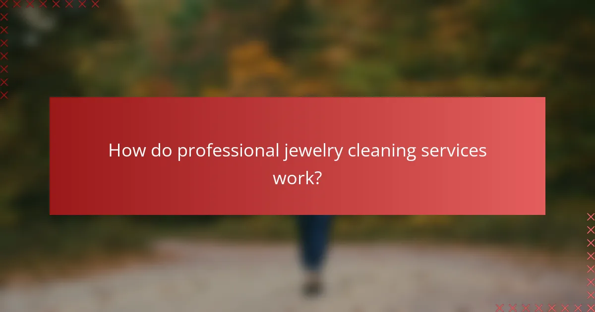 How do professional jewelry cleaning services work?
