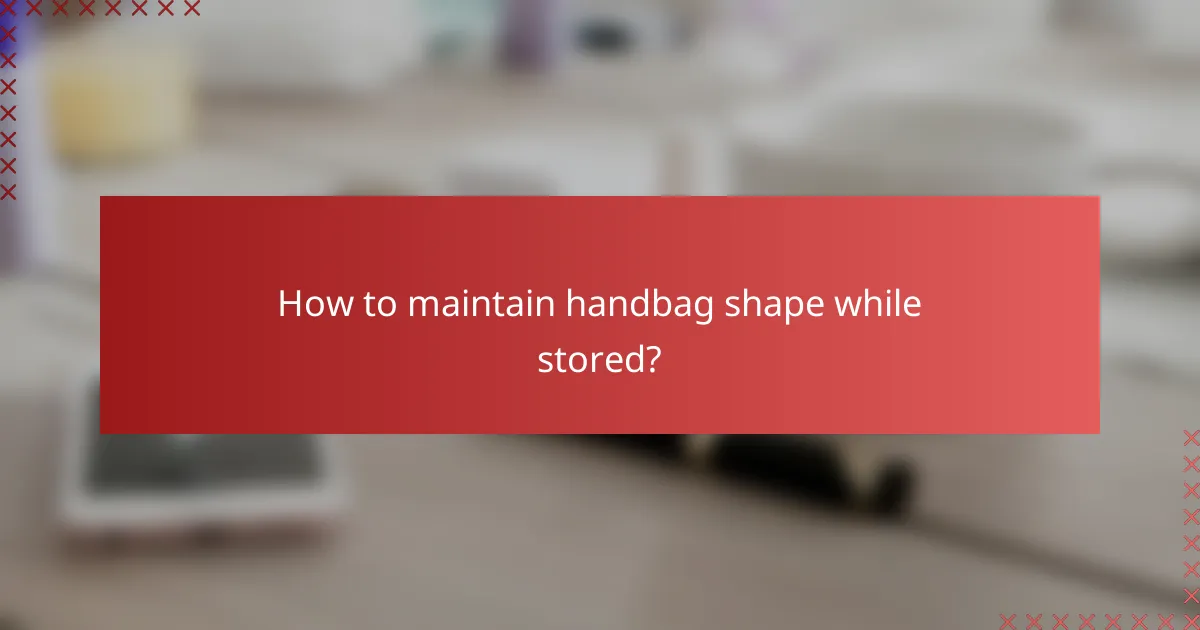 How to maintain handbag shape while stored?
