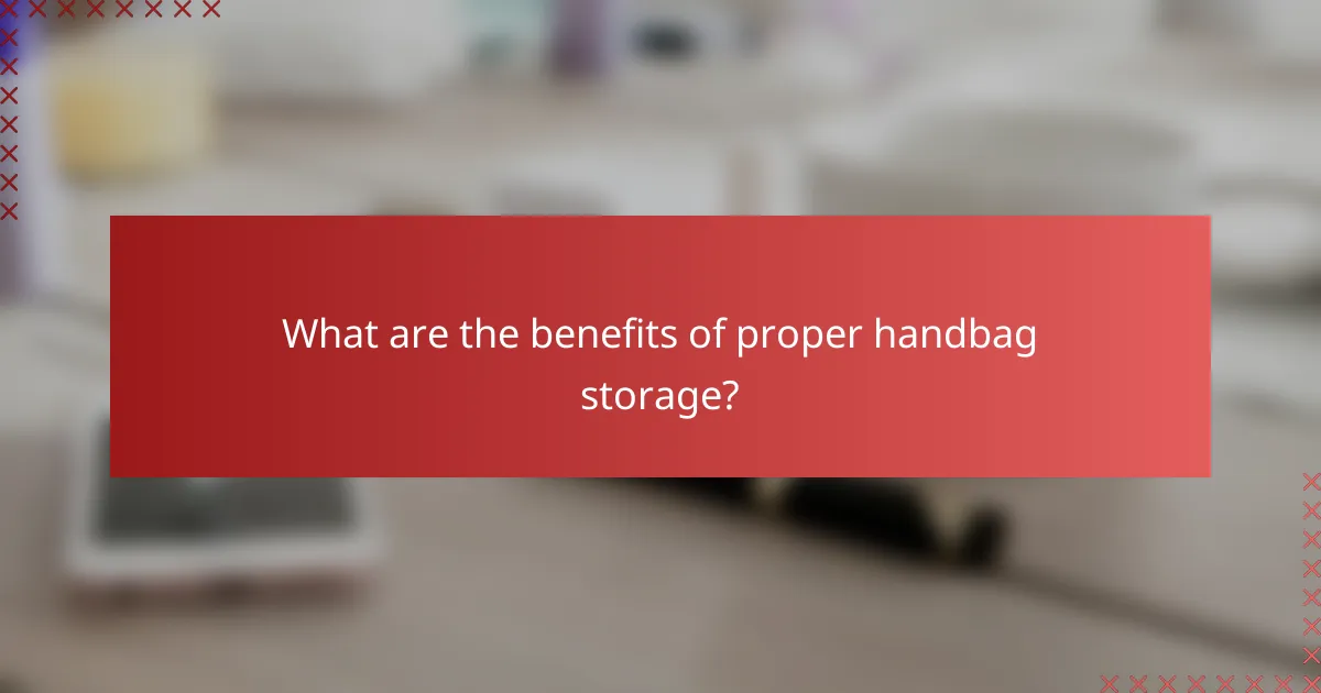What are the benefits of proper handbag storage?