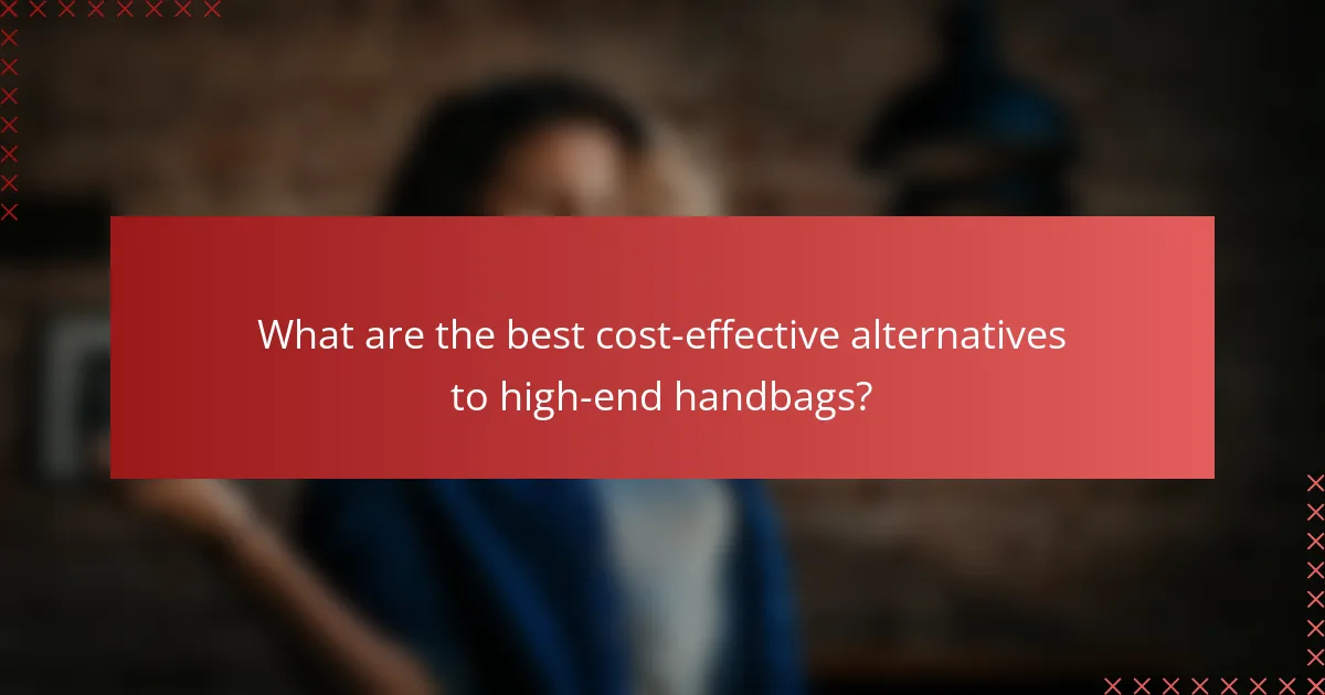 What are the best cost-effective alternatives to high-end handbags?