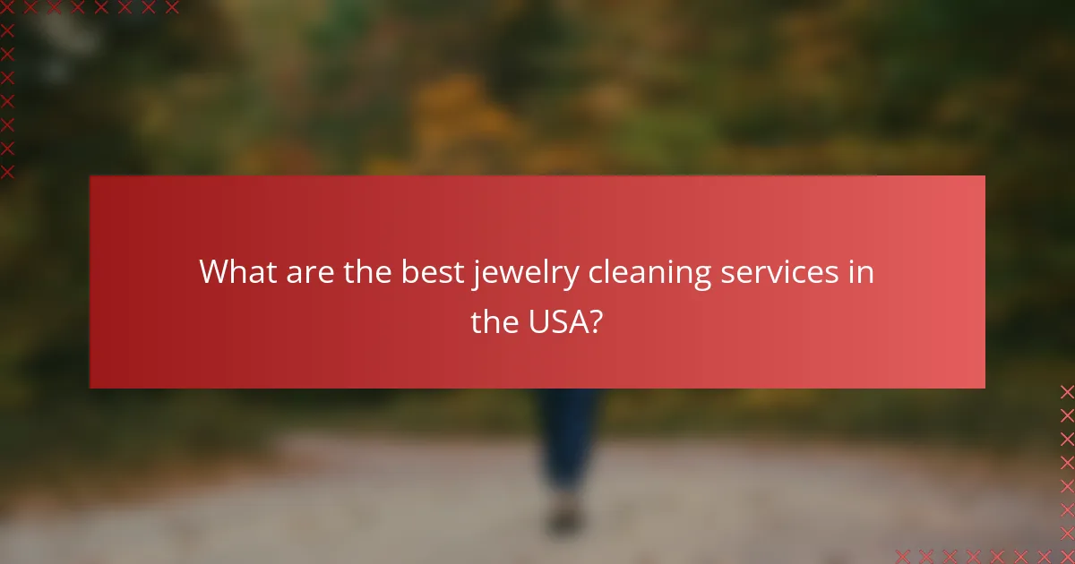 What are the best jewelry cleaning services in the USA?