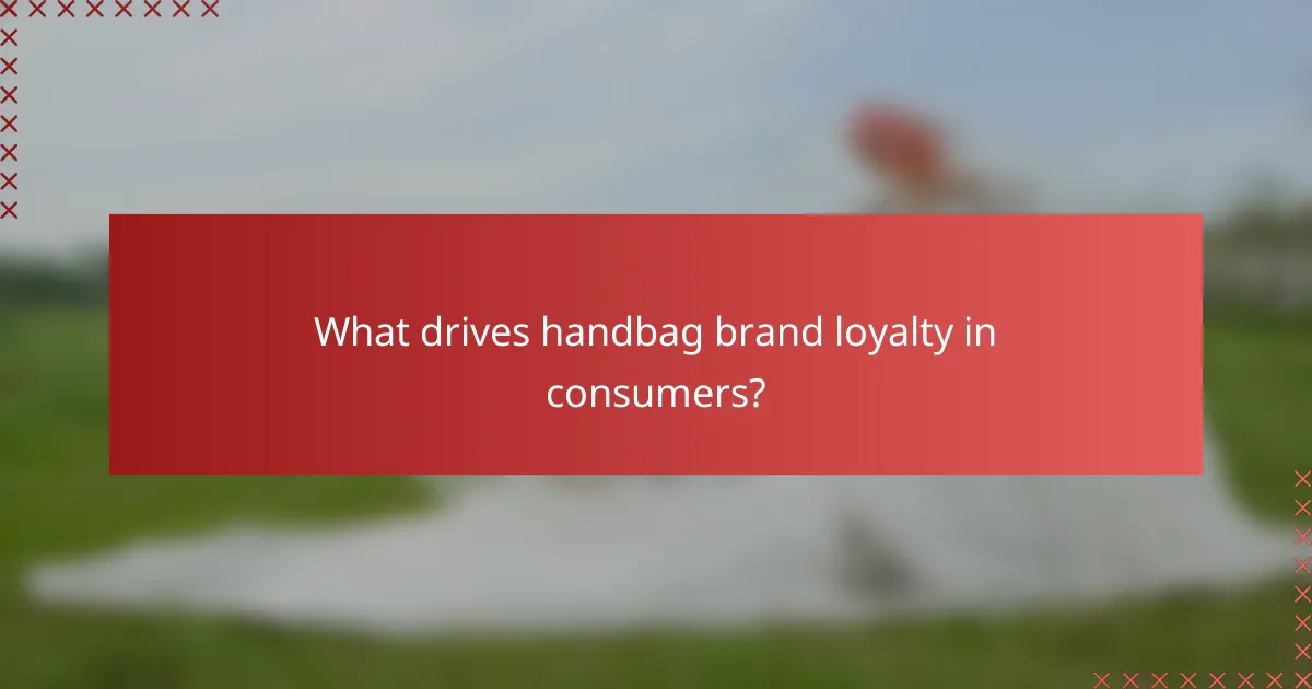 What drives handbag brand loyalty in consumers?